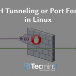 Как создать туннелирование SSH или перенаправление портов в Linux