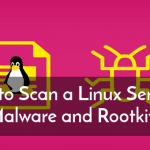5 инструментов для сканирования Linux-сервера для вредоносных программ и руткитов